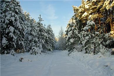 《圣剑传说Visions of Mana》新截图 游戏画面惊艳