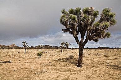 Xbox玩家可通过GFN玩PC游戏 但《死亡搁浅》被阻止